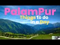 Things to do in one day in palampur himachal pradesh