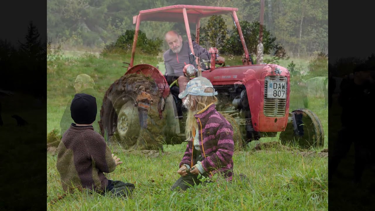 Veterantraktorplöjning i munsta 28 sept 25