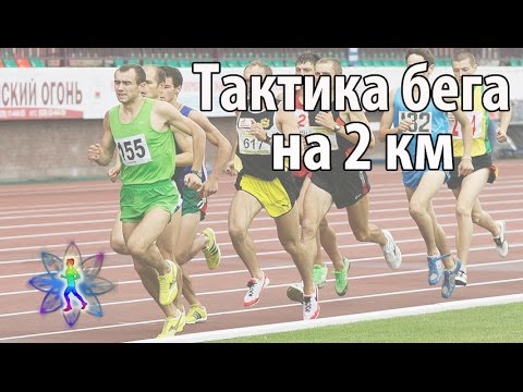 Тактика бега на 2 км. Как разложить силы в беге на 2 км.