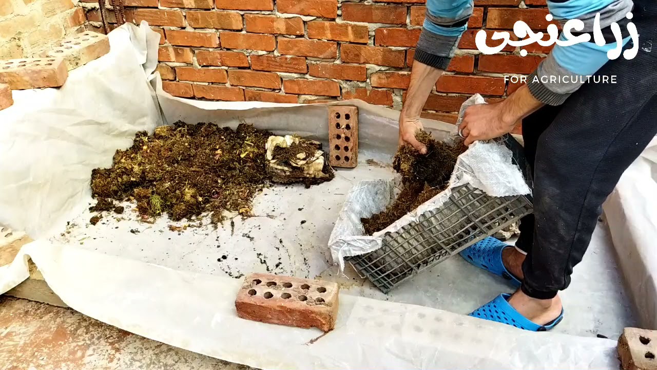 دودة الأرض| التربيه بنظام الأحواض للمزارع الكبيرة ،تربيه ديدان السماد ريدويجلر وتايجروررم #زراعنجى