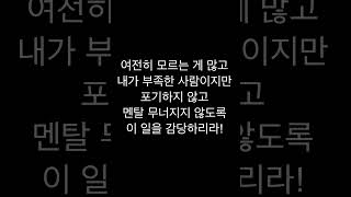 [유튜브 #쇼츠일기] 부산 프로젝트 한 달 - 2025.7.1