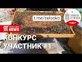 Конкурс в чате &quot;Земля и Люди&quot;. Участник #1 Светлана Крутоус