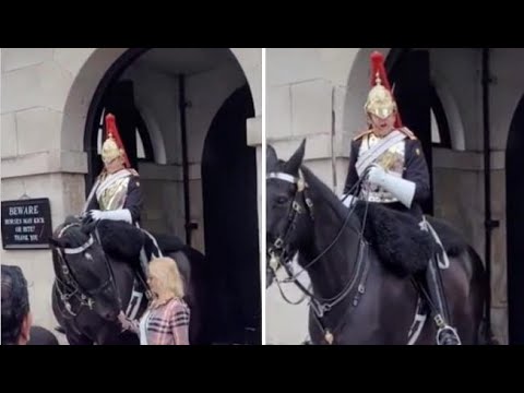 Video: Quando si tiene la parata delle guardie a cavallo?