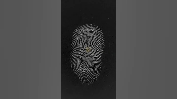 Jonathan Quiles is on Trial for the Murder of his Pregnant Niece.