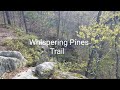 Whispering Pines Trail at Hawn State Park