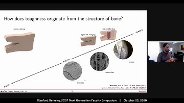 Probing nanoscale human bone fracture to engineer biocompatible materials