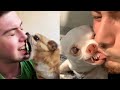 These Must be the CUTEST Pets on Tik Tok| What&#39;s Fun In Tiktok? #15 #shorts