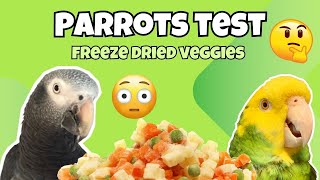 Parrots & Cockatoo Taste Test Freeze Dried Food