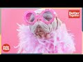 This Pink Pug Is One of the Rarest Dogs in the World | Better Together | Daily Paws