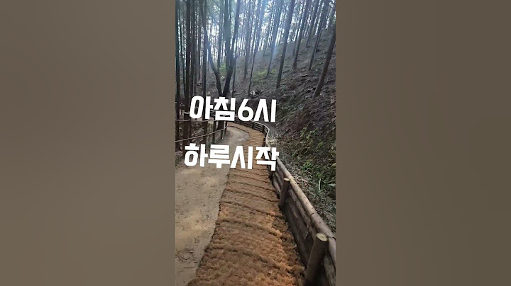 #혼자하는국수집#하루100그릇#신안동맛집 #경남맛집 #소상공인 #국수장사 #아마칼국수#진주맛집