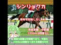 【エリザベス女王杯出走馬紹介】シンリョクカ　3回目のエリ女参戦で初のG1制覇へ！昨年4着の雪辱晴らす！【エリザベス女王杯2025】#競馬 #ずんだもん #shorts