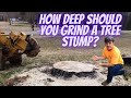 How deep should you grind a tree stump