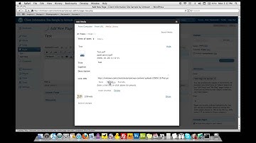 Linking a File for Download kimtown Client Site