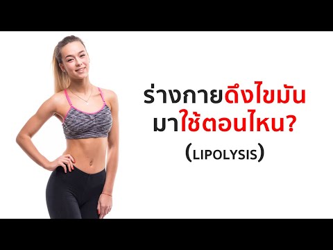 ร่างกายดึงไขมันมาใช้ตอนไหน?