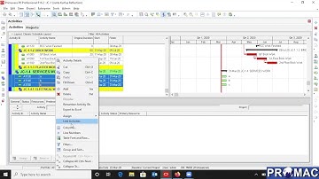 Reflections in Primavera P6 : Tutorial