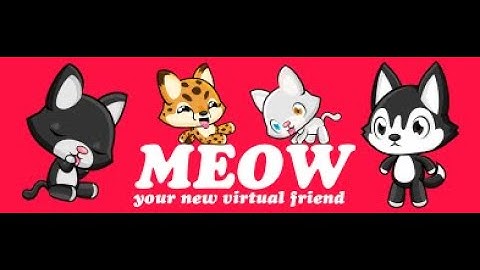 Meow Playground ( a tutorial and such)