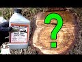 Will Fertilome Brush and Stump Killer Kill A Tree?