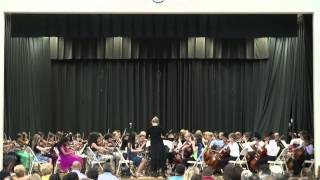 2015 MES Orchestra Spring03