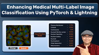 Deep Learning in Medical Imaging: Multi-label Classification with PyTorch | Hands-on Demo