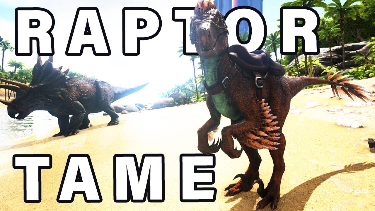 How To Tame A Raptor ► Ark