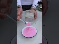 نبتة البيتونيا و العناية بها  