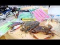 LIVE BAIT vs. ARTIFICIAL LURE Fishing Challenge -- SALTWATER Edition!!!