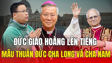 Đức Giáo Hoàng Lên Tiếng Gay Gắt Về Mâu Thuẫn Giữa Đức Cha Long Và Cha Nam - Giáo Phận Vinh!