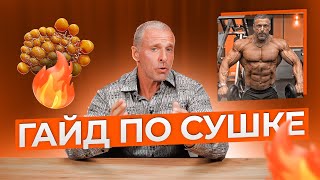 картинка: ГАЙД ПО СУШКЕ.