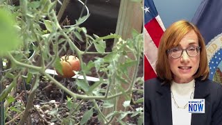 Programs helping to provide farm fresh foods in school lunches across America