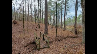 "Christmas" Hiking: Mistletoe State Park, Office/Campground Loop, in Eastern Georgia