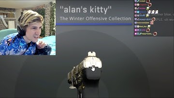 xQc Reacts to The Pus*y Pattern