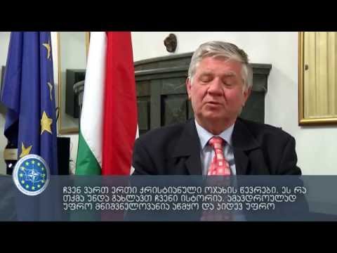 საქართველოში უნგრეთის ელჩის შანდორ საბოს ვიდეო მიმართვა