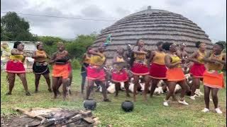 Indlondlo Zulu Dancers