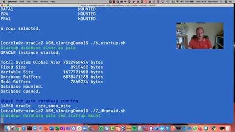 Fast automated Oracle ASM Database Cloning using storage snapshots