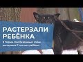 Стая бездомных собак растерзала 7-летнего ребёнка