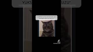 izahı olmayan şeylərin mizahı olur #buraxilisimtahani #azərbaycandili #9mart #15mart #abituriyent