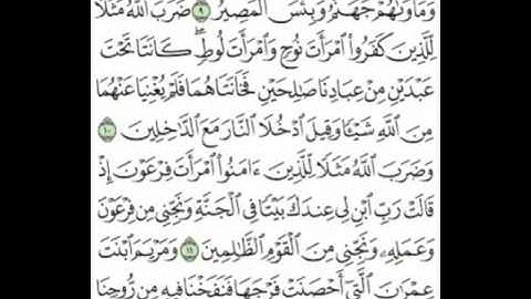 ما تيسر من سورة التحريم [ ٩ - ١٢ ] بصوت القارئ الشيخ/ #عبدالله_الشهري ، صلاة العشاء  ٢٩ / ١ / ١٤٣٨هـ