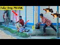 Happy new year prank on 2024  fake dog bark prank  fake dog bite  public prank so funnys