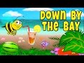 Down by the bay with lyrics  nursery rhymes  childrens songs by the learning station