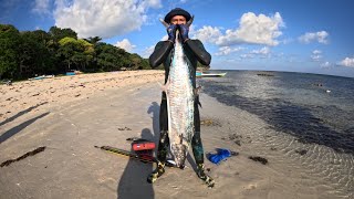 Panah ikan tenggiri super besar dengan bobot 18 Kg || Spearfishing Indonesia
