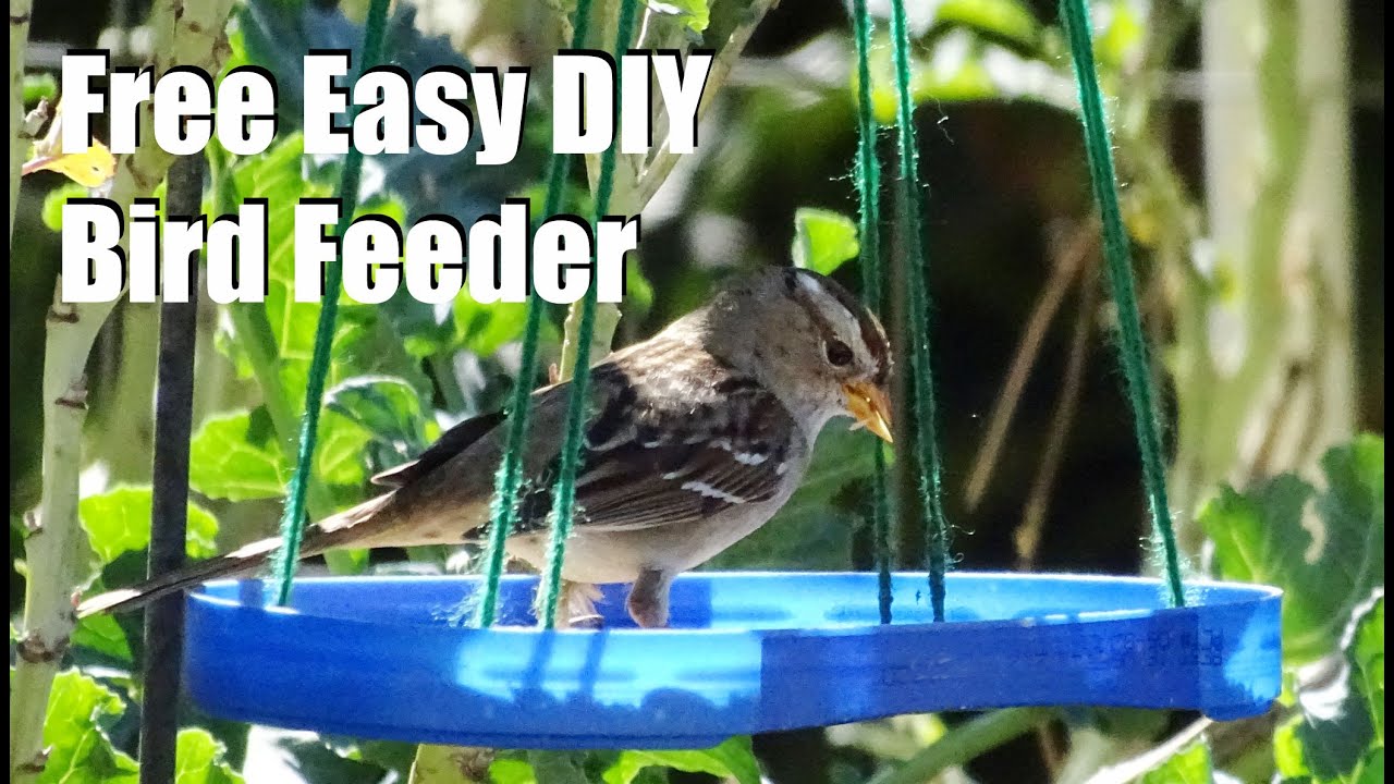 Easy DIY Bird Feeder using Recycled Plastic Container - How to Make for Garden Birds & Hummingbirds
