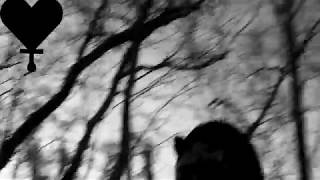 Nick Jonas - Find You Awil Onuag Cover Acroamatic Visuals