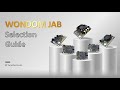 How to select suitable wondom bluetooth  dsp jab products for your audio systems