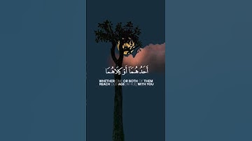 تلاوة هادئة تريح الأعصاب 😴🎧 القارئ: اسلام صبحى سورة: الإسراء 💙❤