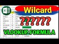 Vlookup Using Wilcard in Excel | Wilcard in Excel | thecomputerschool