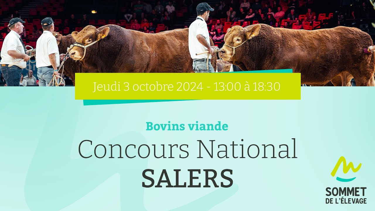 Sommet de l'élevage 2024 - Bovins viande - Concours national Salers - 03/10/2024