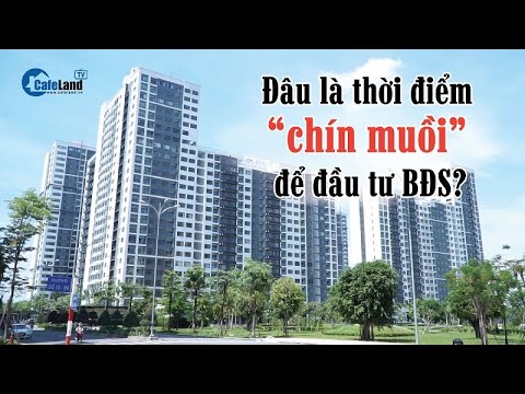 Đâu là thời điểm “CHÍN MUỒI” để đầu tư bất động sản? | CAFELAND