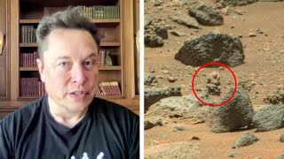 Elon Musk Can't Explain What They Just Found on Mars