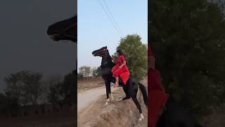 DAANVEER #punjabisong #punjabi #newsong #song #music #horser #horseriding #horselover #horserid