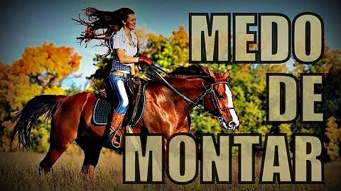 Como perde o medo de andar de cavalo?